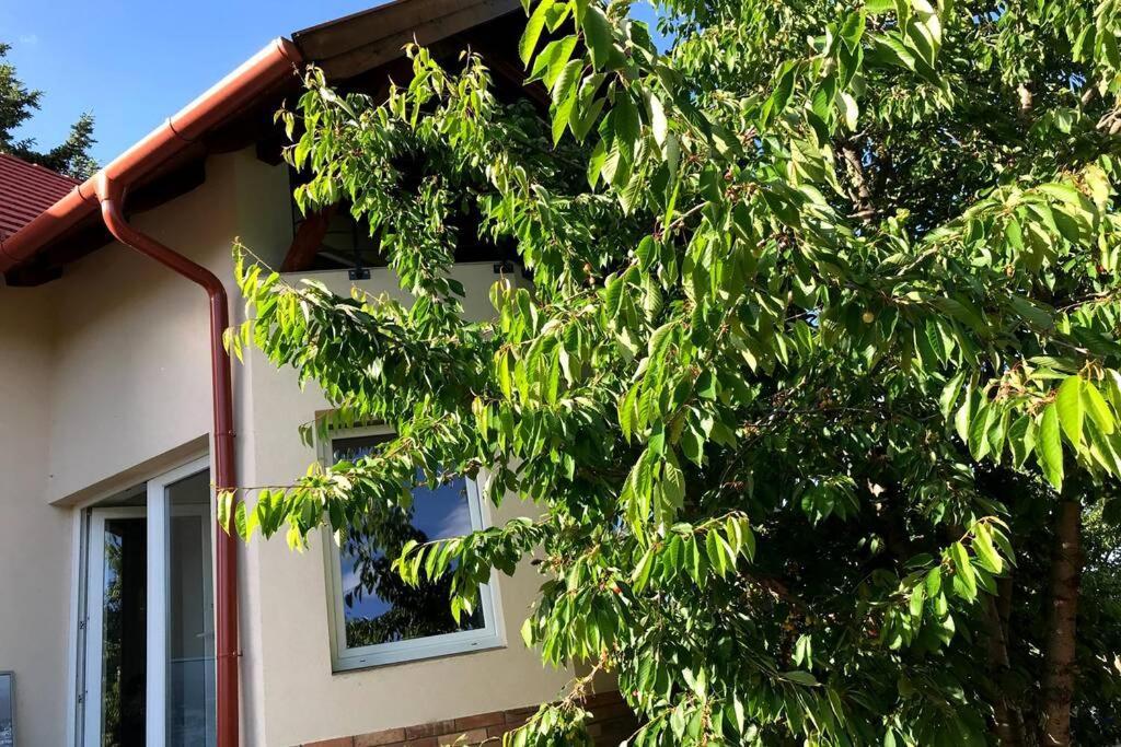 'New' Sunkissed Villa On The Old Hill Balatonalmádi Zewnętrze zdjęcie